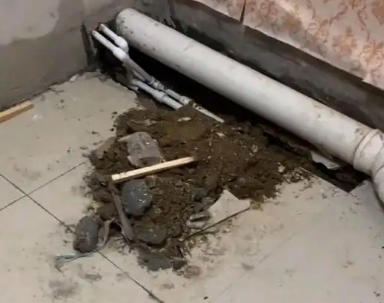 安龙卫生间漏水检测哪家好